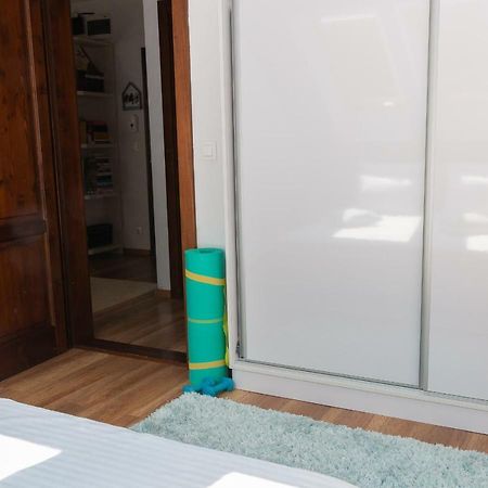 Cozy Flat In The Heart Of The City Gran Varadino Esterno foto