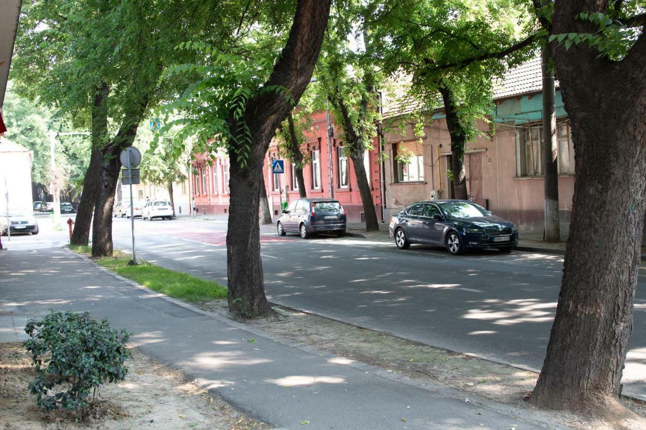 Cozy Flat In The Heart Of The City Gran Varadino Esterno foto